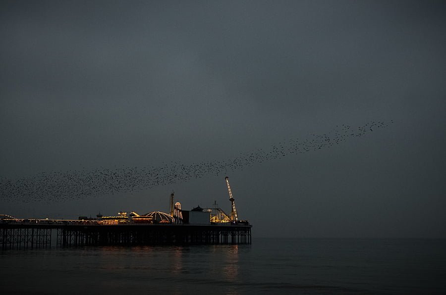 Brighton Pier