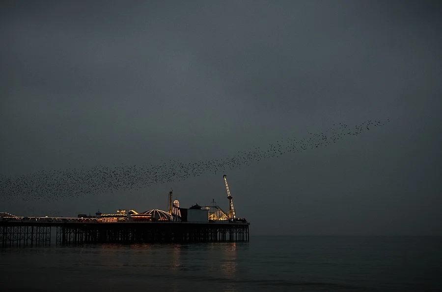 Brighton Pier