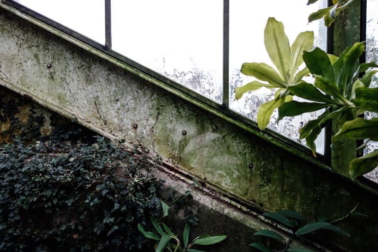 Angular Kew